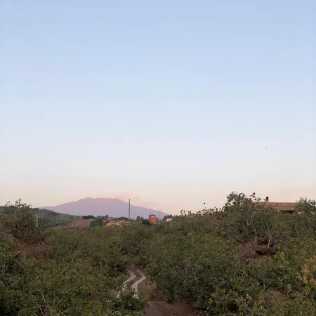 Апартаменты Antico Pistacchieto *